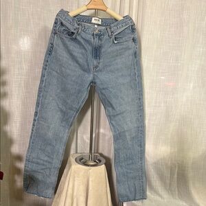 Agolde High Rise Blue Jeans Classic Style